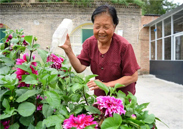 侯秀珍在位于延安市宝塔区南泥湾村的家中浇花（2017年9月14日摄）。新华社记者 邵瑞 摄