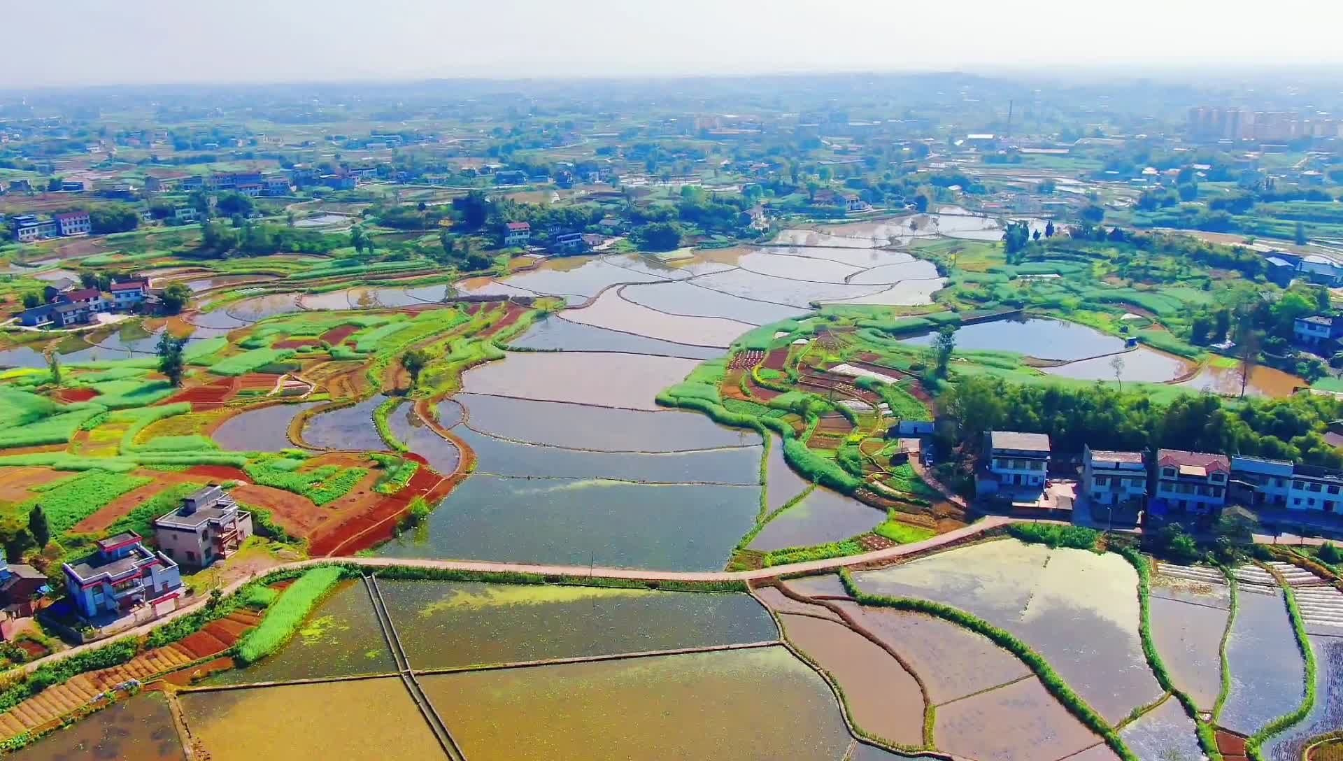 稻粱酿出群众美好生活记全市乡村振兴先进镇富顺县代寺镇