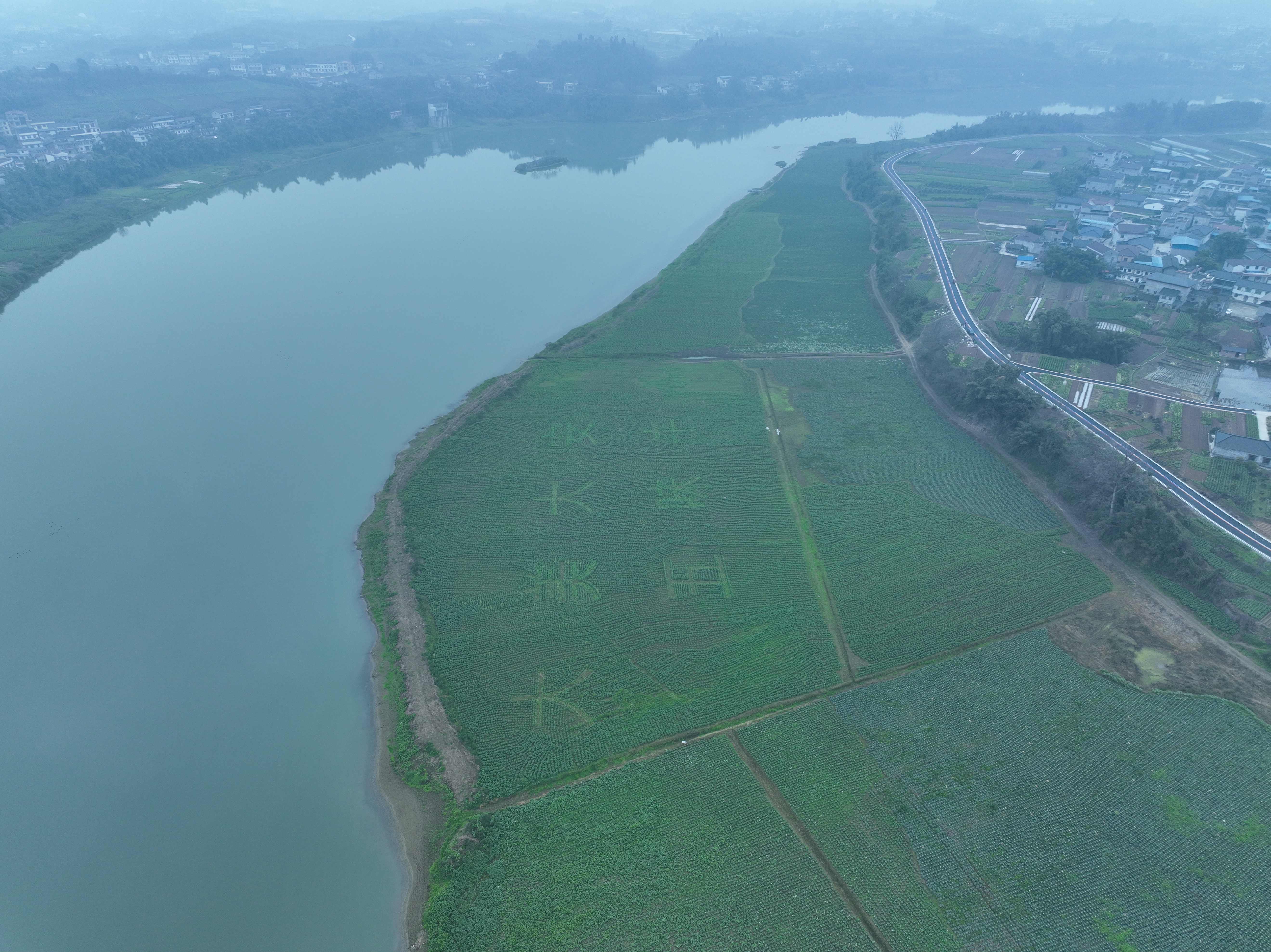 农科村沱江沿岸航拍.jpg