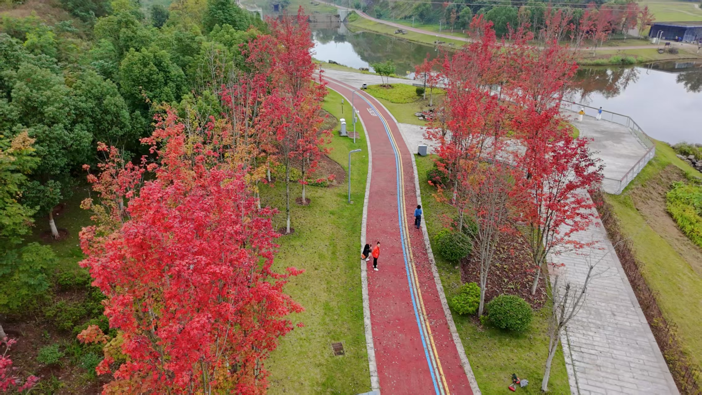 航拍初冬宜家河滨河公园 市民漫步其中记者 罗祥瑞 摄.jpg