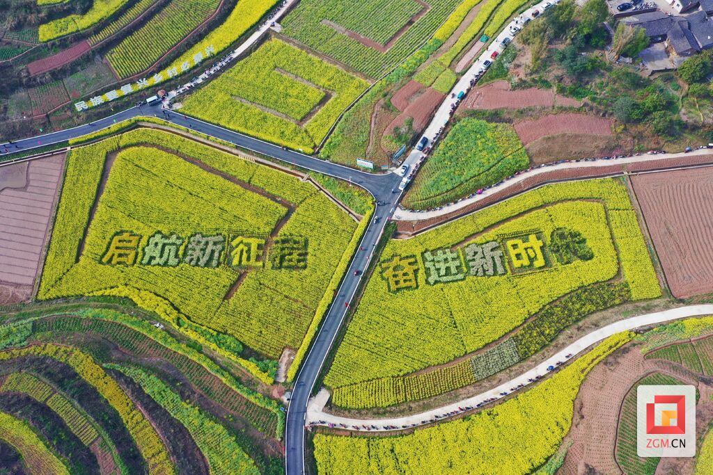 微信图片_20230311073711.jpg