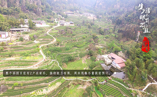 龙泉山农家乐：品味乡愁，享受悠闲