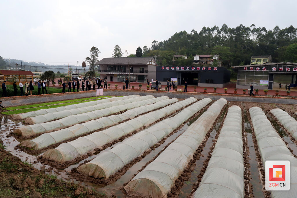 TCAMDA6-2019粮食烘干中心验收技术规范(图1)